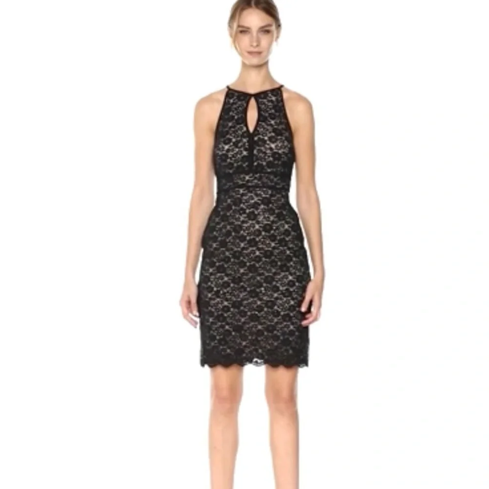 Nightway | Lace Short Banded Cocktail Dress